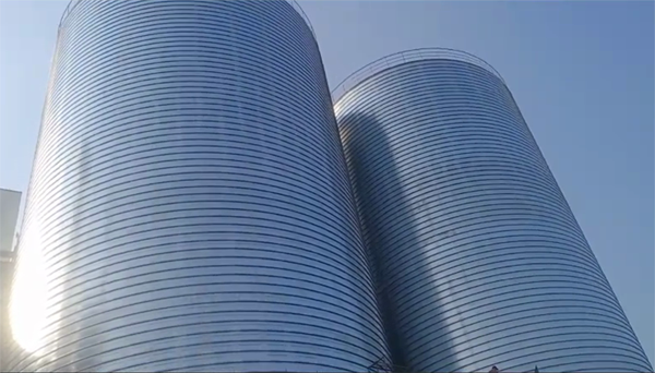 蓟州2座混凝土高架卷板仓